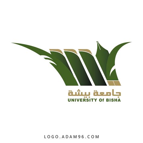 جامعة بيشه
